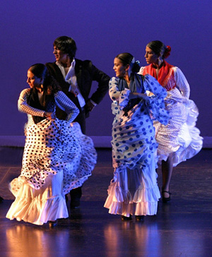 PAN, Performing Arts Network Miami. artist companies - Ballet Flamenco La Rosa