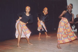 PAN, Performing Arts Network Miami. artist companies - The Childrens African Dance